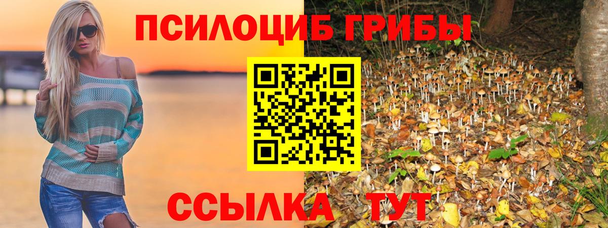 Галлюциногенные грибы прущие грибы Бердск