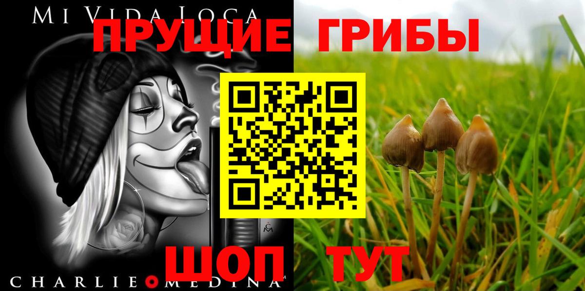 Псилоцибиновые грибы прущие грибы  Вход с VPN  Бердск 