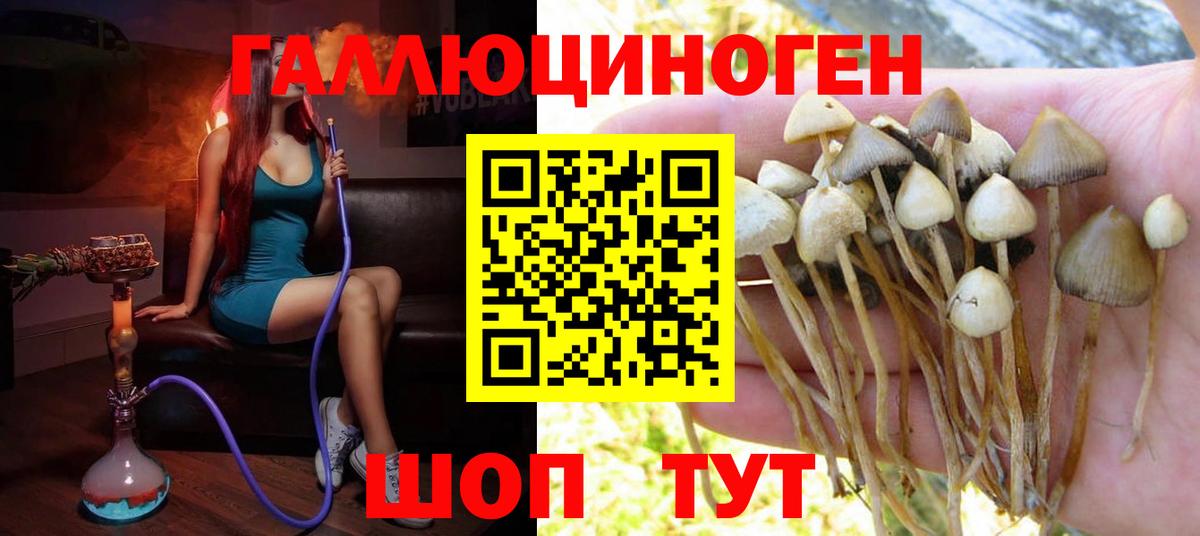 Гашиш Бердск